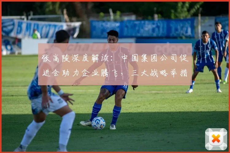张高陵深度解读：中国集团公司促进会助力企业腾飞，三大战略举措，共谋发展新篇章