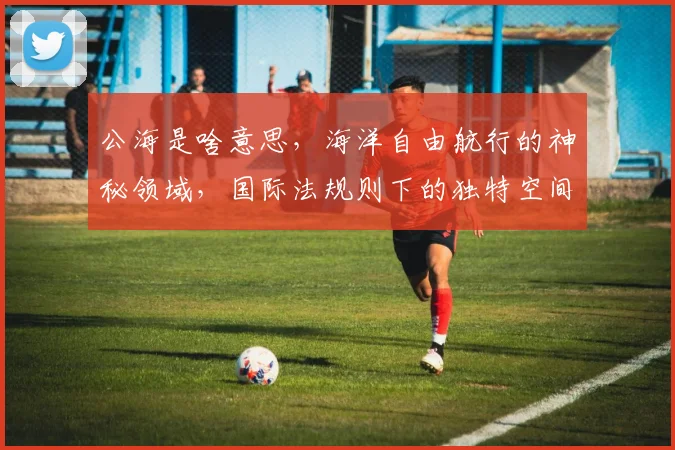公海是啥意思，海洋自由航行的神秘领域，国际法规则下的独特空间，三大看点揭示